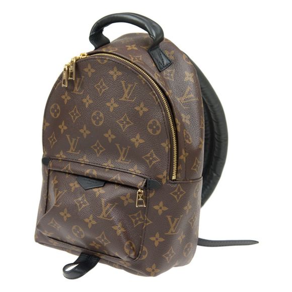 Louis Vuitton Backpack Palm Springs PM Monogram - Picture 2 of 5